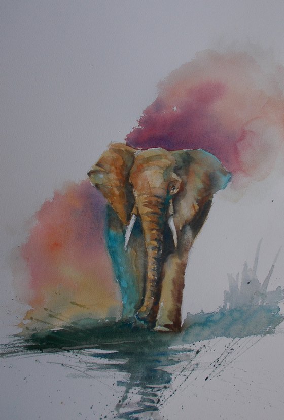 elephant 3