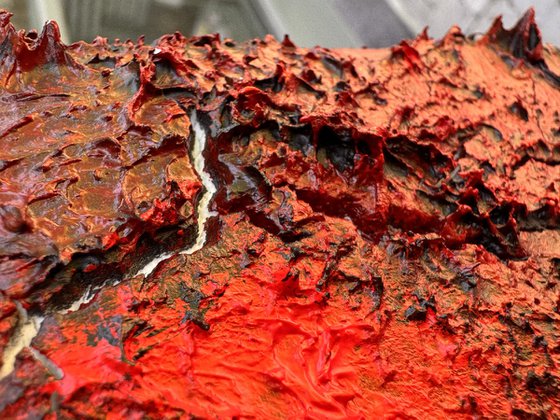 lichen