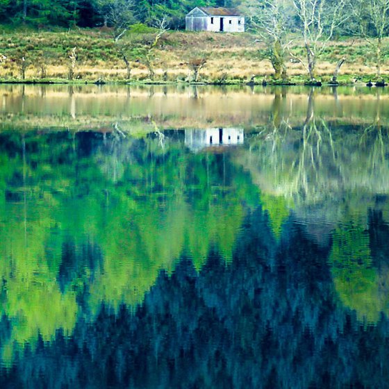 Tranquility, Loch Eck