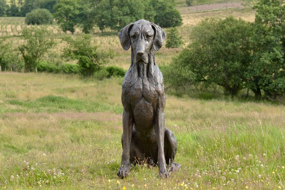 Great Dane Bronze Resin