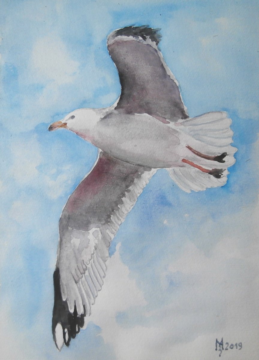 Impressionistic Animal Watercolour By Zoran Mihajlovic Muza, 6 X 9", Seagul, Original Artwork