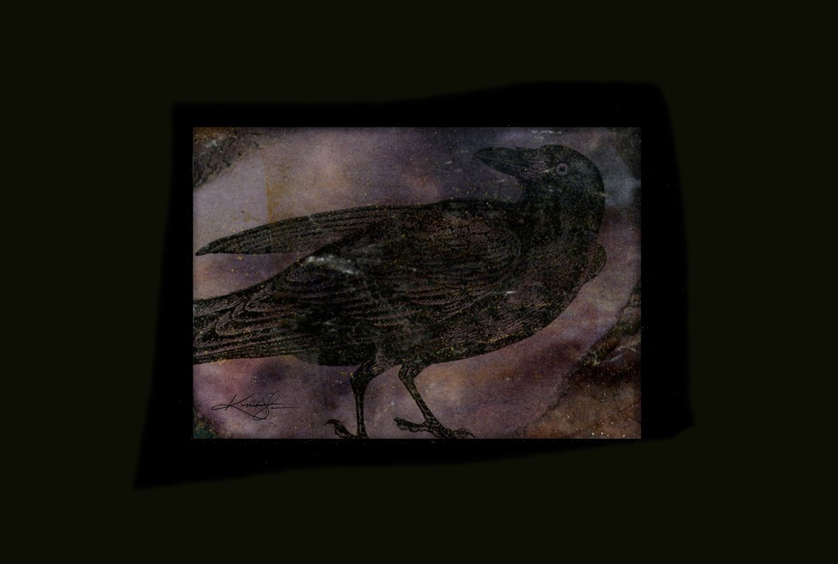 Crow 30 by Kathy Morton Stanion