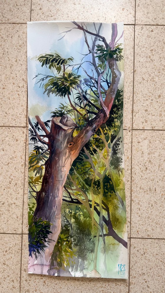 Light Between Branches