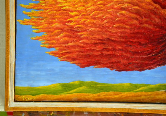 UN ALBERO