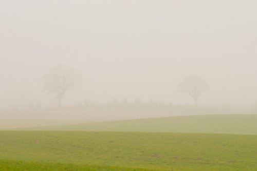 foggy landscape 2 by Jochim Lichtenberger