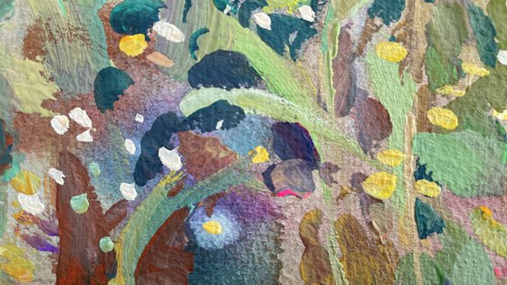 Irises in the garden