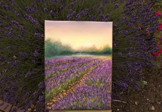 Purple meadow