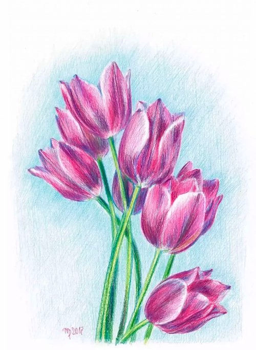 Pink Tulips by Morgana Rey
