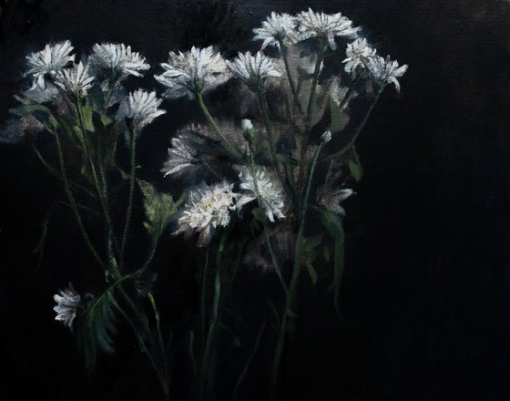 Flowers in the dark