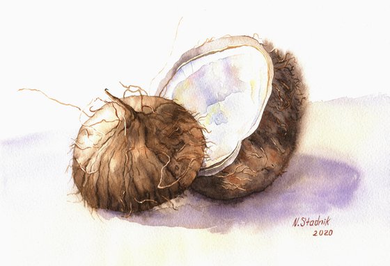 Ukrainian watercolour. Coconut