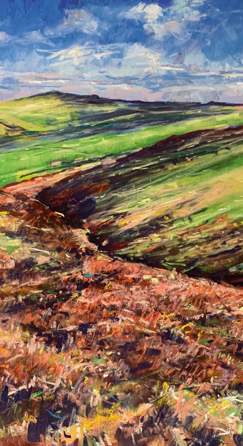 Moorland, Pateley Bridge by Andrew Moodie