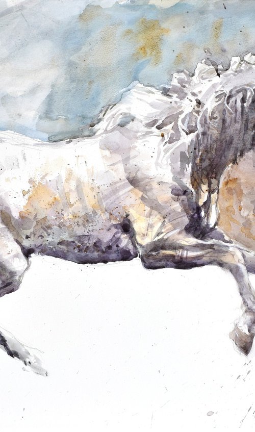 Running horse (70x50) by Goran Žigolić Watercolors