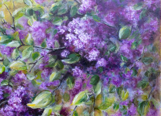 Sunny Lilac