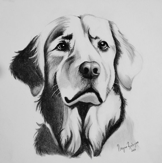 Gentle Soul