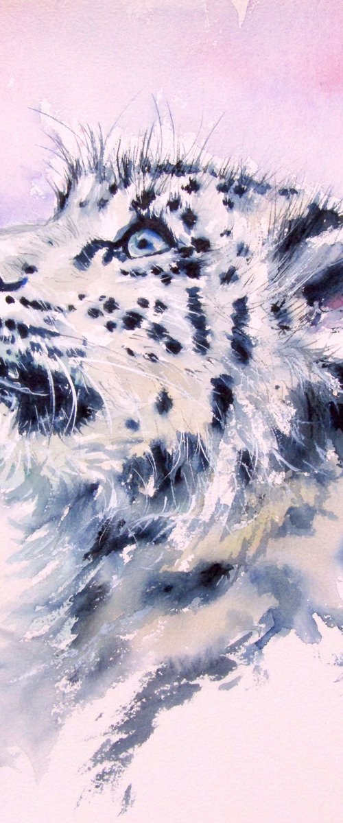 Snow leopard cub II by Kovács Anna Brigitta