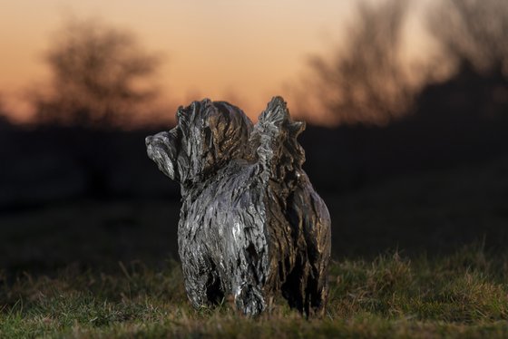 Norfolk Terrier Bronze Resin