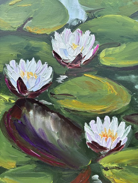 Serenity of Water Lilies
