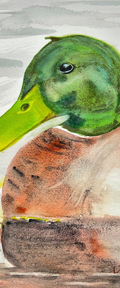 Duck by Alla Semenova