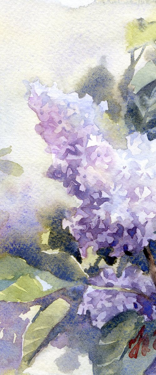 Lilac branch in watercolor by Yulia Evsyukova