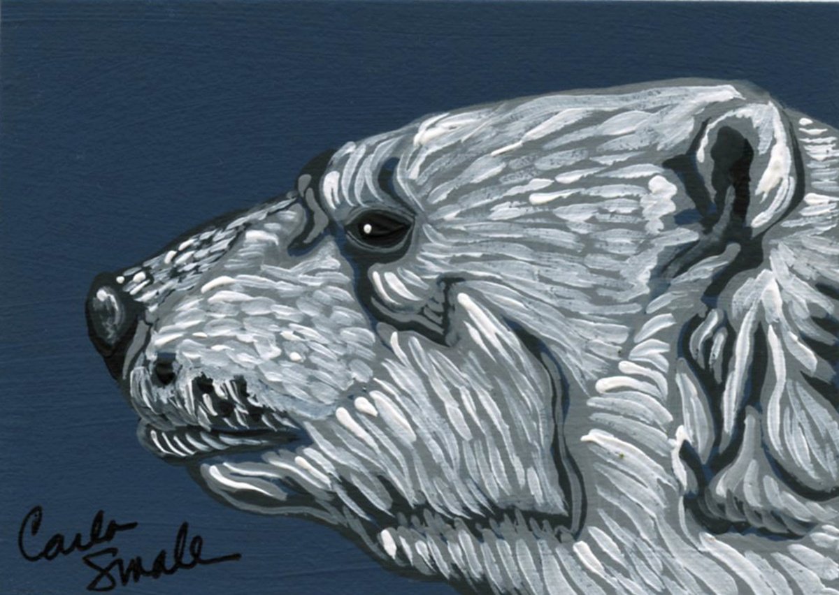 Polar Bear by Carla Smale