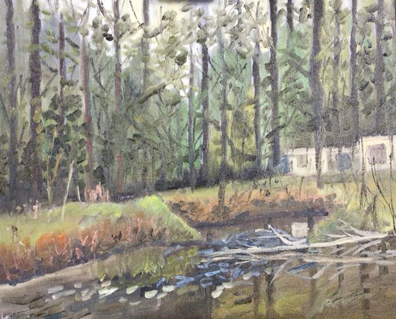 Forest lodge Wiltshire