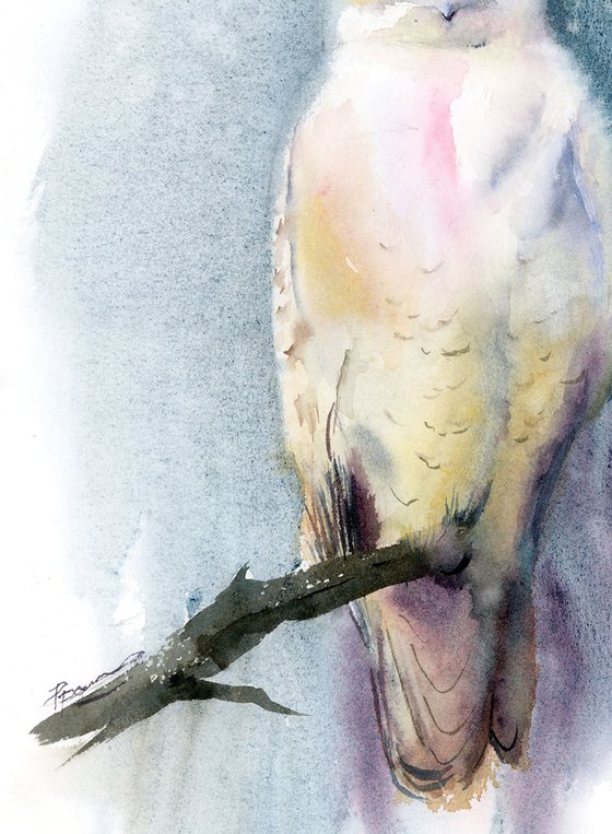 Snowy Owl Diptych