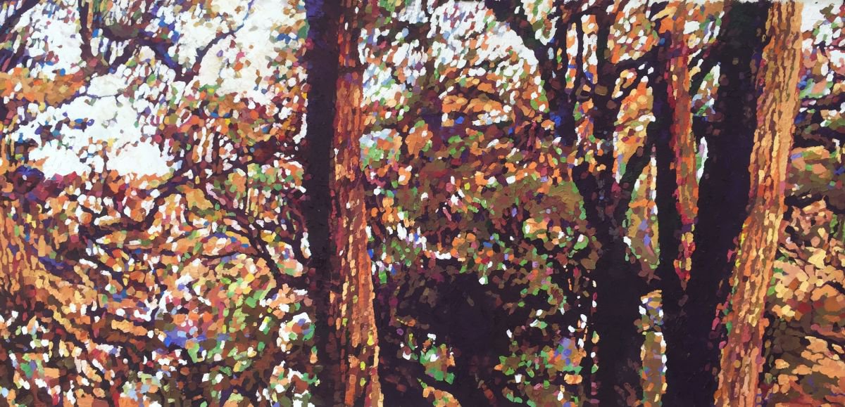 Study of trees at Roundwood by Paul Williams