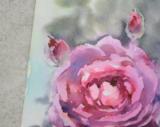 Purple Watercolor rose, flower from Summer garden