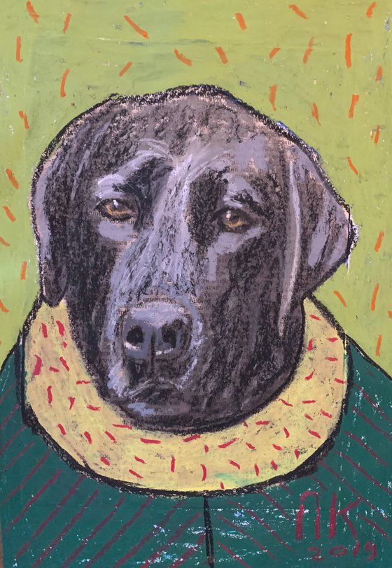 Fashion dog #15