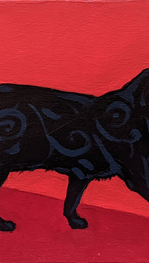 Black Cat by Movses Petrosyan