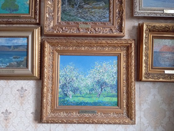 Apple tree in bloom. Kolomenskoye