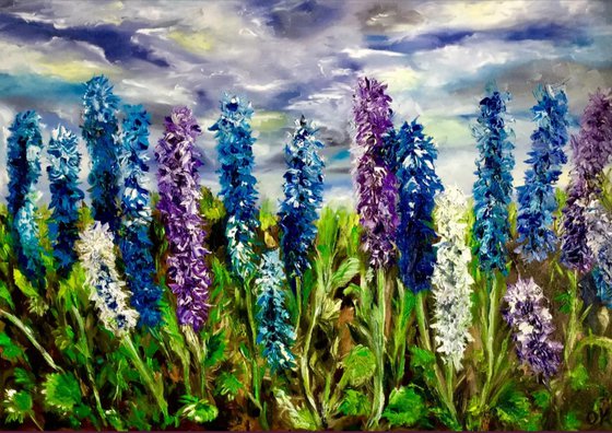 Delphiniums  in Regents Park