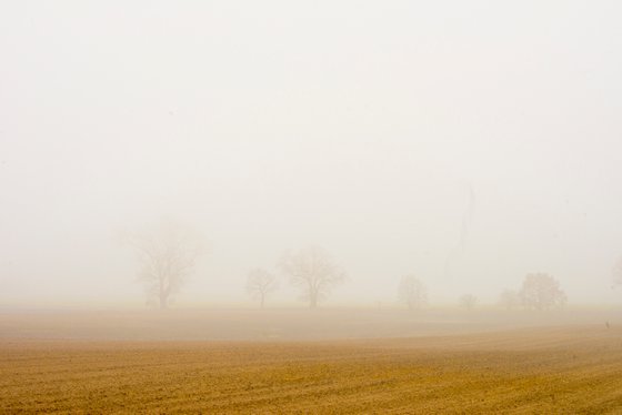 foggy landscape 4