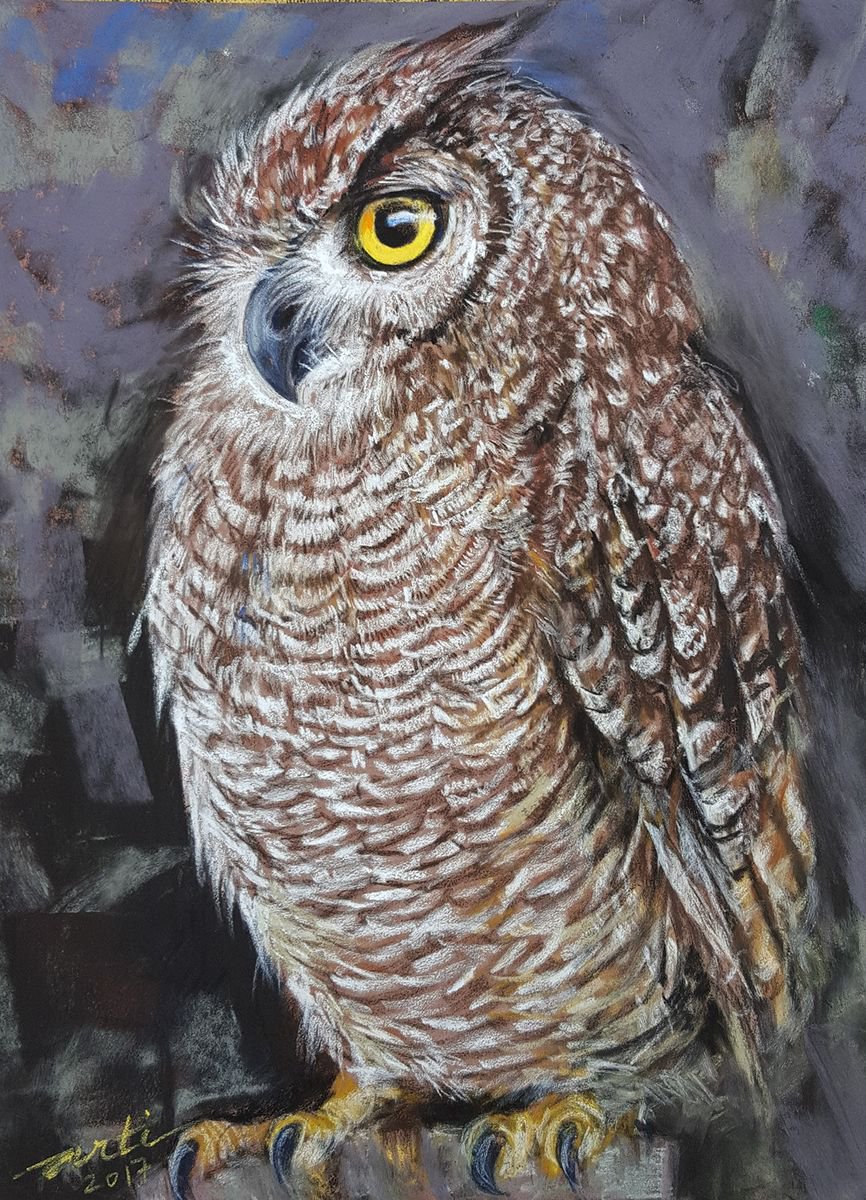 Sharon the Night Owl by Arti Chauhan