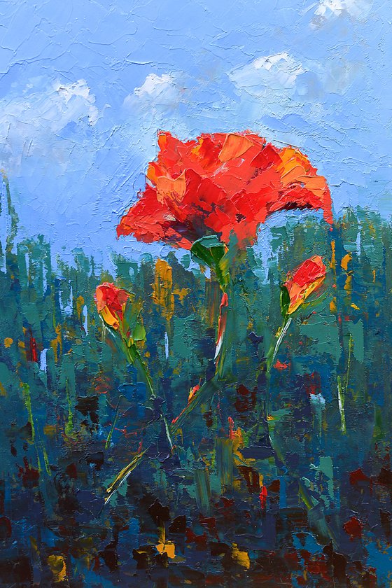 Red poppy flowers in field. Original gift for love