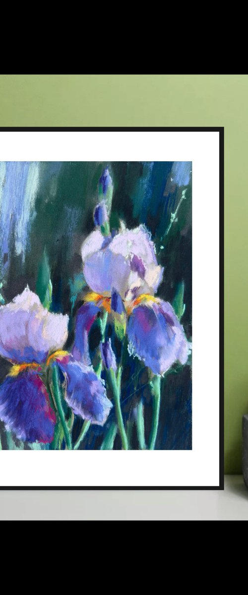 Blue Iris by Olha Laptieva