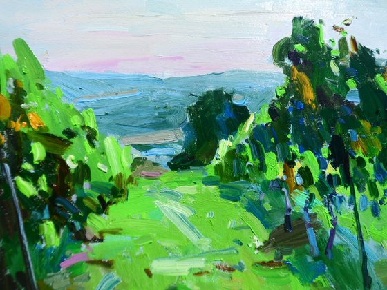 "  Vineyards "
