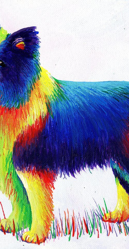 Rainbow Border Collie by Tiffany Budd