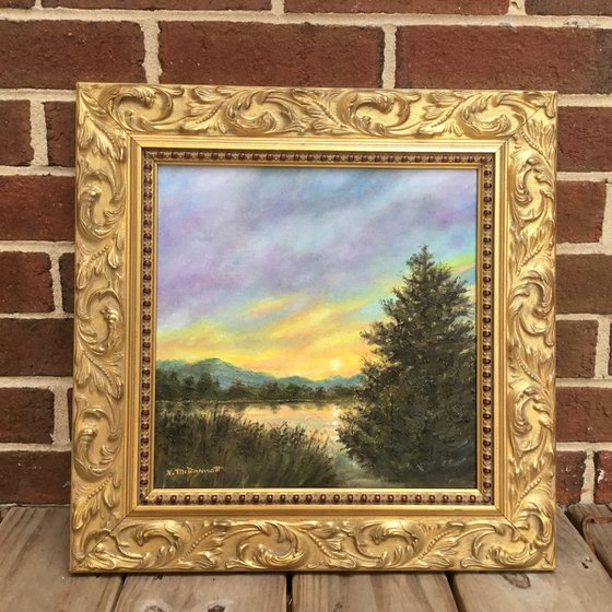 EDGE OF THE POND - oil 11.75 inch square canvas