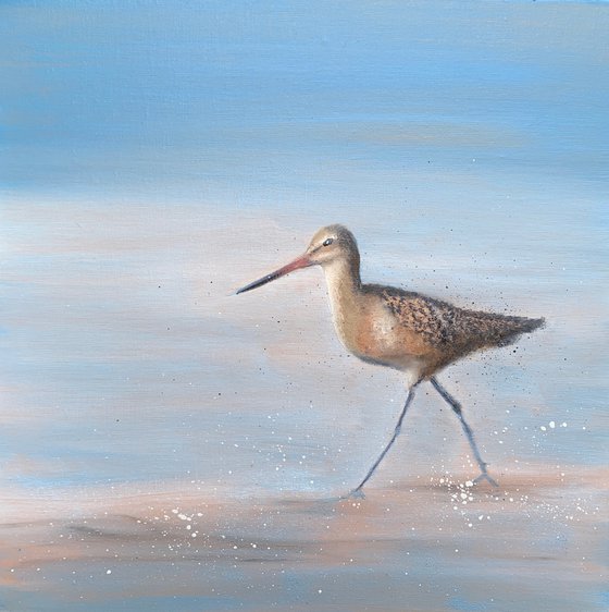 Sandpiper