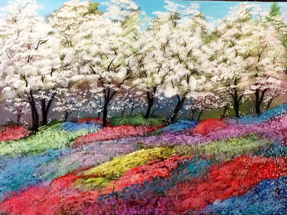 Dogwoods and  Wildflowers!- (Reduced Price)