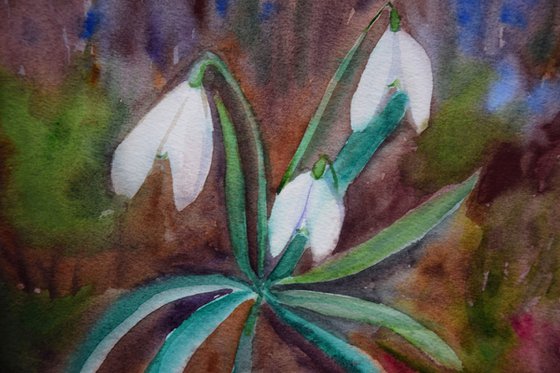 Snowdrops watercolor painting, flower wall art, floral gift for her