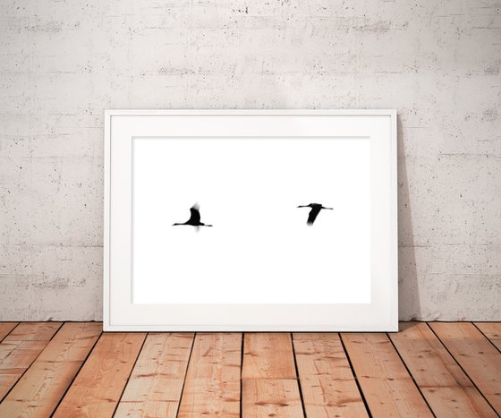 Crane(s) II | Limited Edition Fine Art Print 1 of 10 | 90 x 60 cm