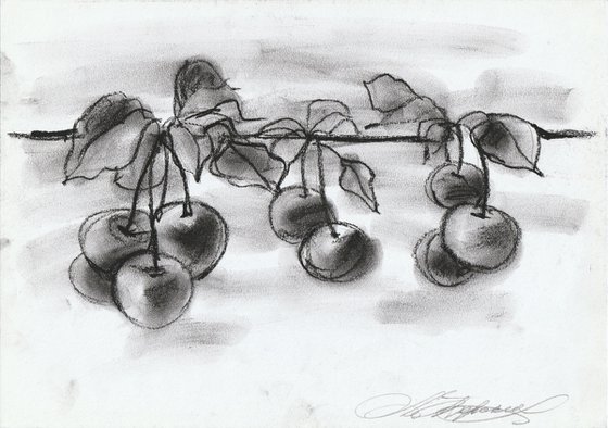 Cerasus