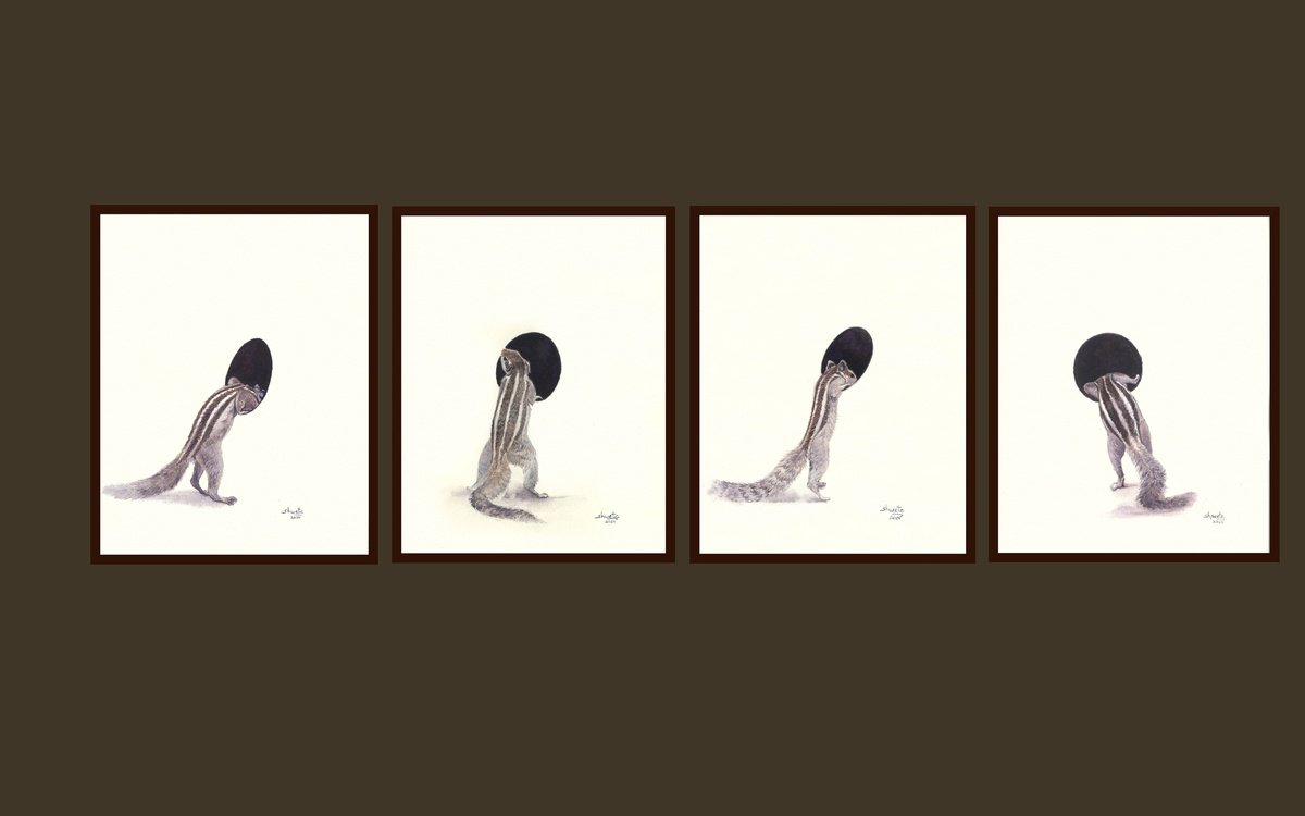 Photorealistic Animal Watercolour By Shweta Mahajan, 22 X 7", Curious Squirrels, Original Artwork