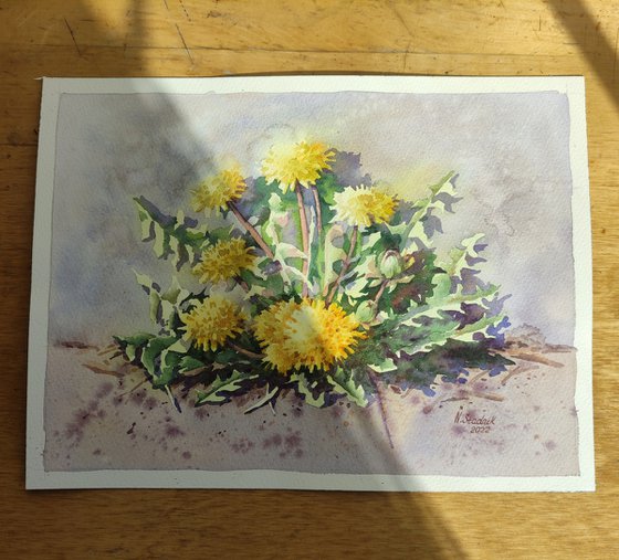 Ukrainian watercolor. Dandelions. Stolen spring