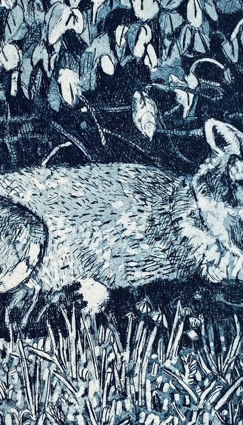 Allotment fox by Janis Goodman