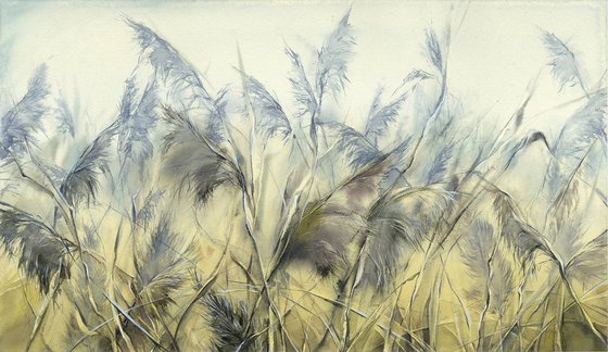 Reed grass