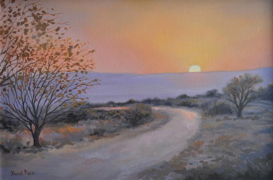 "Atardecer en panaholma"