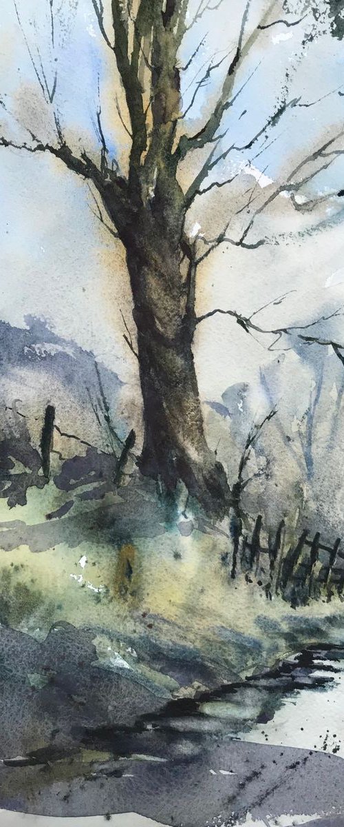 Country lane by Vicki Washbourne